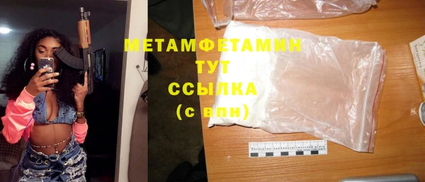 прущие грибы Каменка