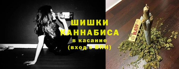 дживик Инта