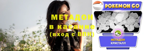 прущие грибы Каменка