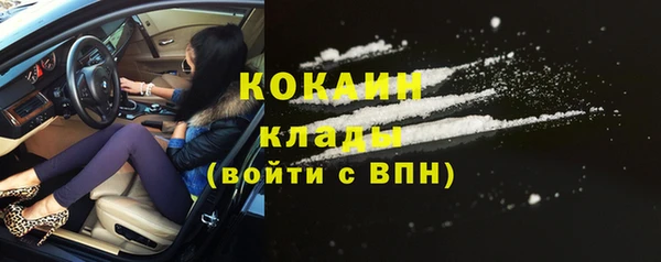 дживик Каменногорск