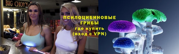 дживик Каменногорск