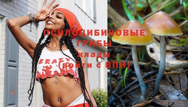 дживик Каменногорск