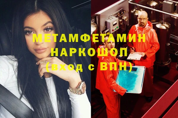 прущие грибы Каменка