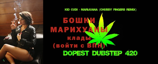 прущие грибы Каменка