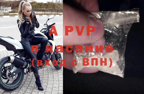 дживик Каменногорск
