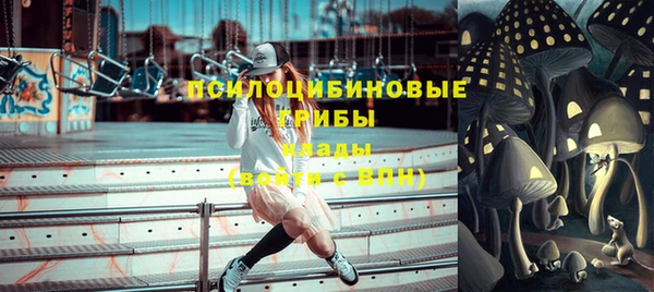дживик Каменногорск