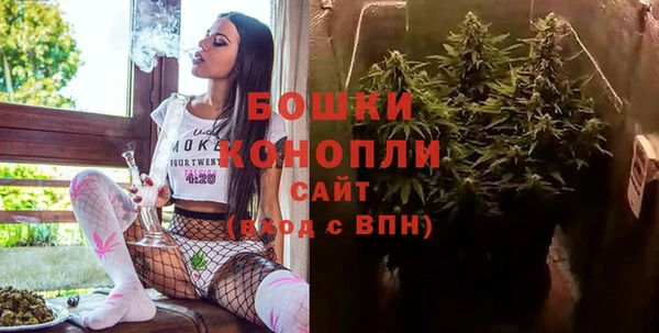 дживик Каменногорск