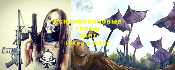 прущие грибы Каменка