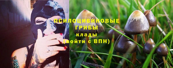 МДПВ Карпинск