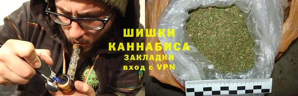 МДПВ Карпинск