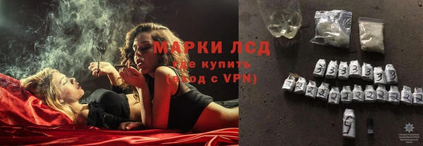 прущие грибы Иннополис