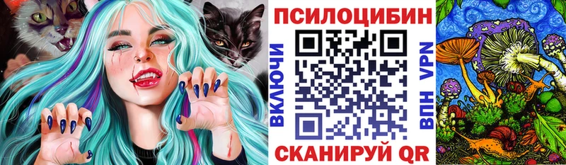 Псилоцибиновые грибы MAGIC MUSHROOMS  Купить закладки  Каргополь 